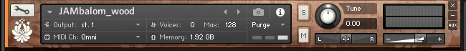 Recording Process